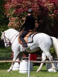 IMG_0204