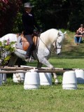 IMG_0206