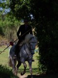 IMG_0220