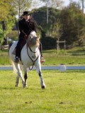 IMG_0341