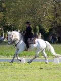IMG_0574
