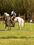 DSC02520