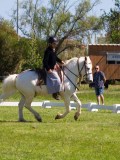 IMG_0111