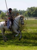 IMG_0473