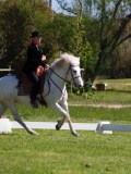 IMG_0042