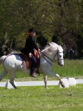 IMG_0047