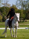 IMG_0052