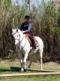 IMG_0389