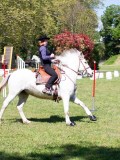 IMG_0403