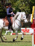 IMG_0405