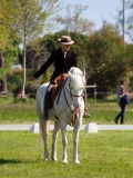 IMG_0976