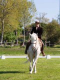 IMG_0992
