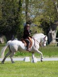 IMG_1003