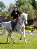 IMG_1011