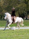 IMG_1016
