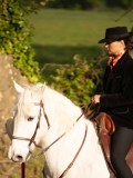 24_07384