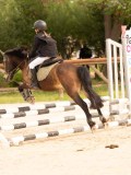 DSC07594 DSC07594