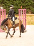 DSC07595 DSC07595