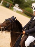 DSC07547 DSC07547
