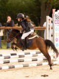 DSC07548 DSC07548