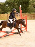 DSC07549 DSC07549