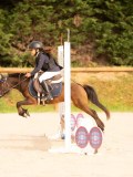 DSC07554 DSC07554