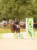 DSC07556 DSC07556