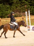 DSC07568 DSC07568