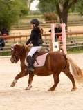 DSC07433 DSC07433