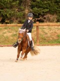 DSC07435 DSC07435