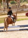 DSC07438 DSC07438