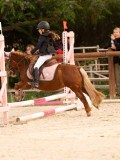 DSC07442 DSC07442