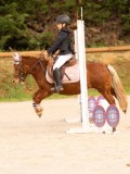 DSC07443 DSC07443