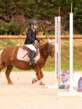 DSC07445 DSC07445