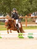 DSC07446 DSC07446