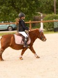 DSC07452 DSC07452