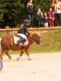 DSC07454 DSC07454