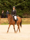 DSC07739 DSC07739