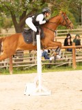 DSC01071 DSC01071