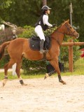 DSC01075 DSC01075
