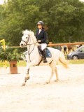 DSC00241 DSC00241