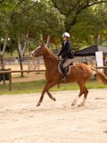 DSC01734 DSC01734