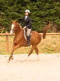 DSC01738 DSC01738
