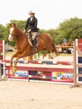 DSC01740 DSC01740