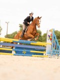 DSC01743 DSC01743