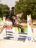 DSC04544 DSC04544