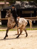 DSC04548 DSC04548