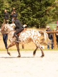 DSC04558 DSC04558