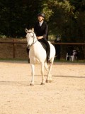 DSC03395 DSC03395