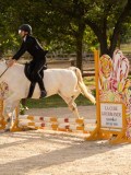 DSC03399 DSC03399